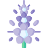 问鼎娱乐 logo