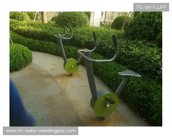 健身器材训练类型全汇总及其针对不同人群的推荐方案