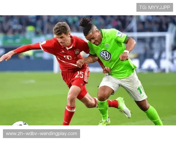 德甲拜仁慕尼黑与沃尔夫斯堡球队历史对比