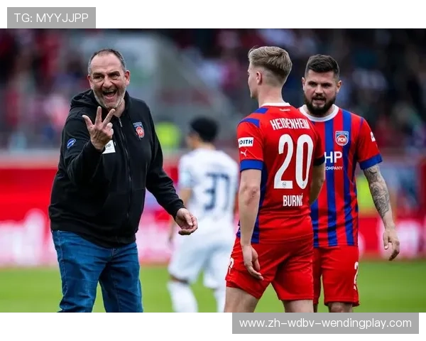 球队首次进入德甲：新晋德甲球队的挑战与机遇